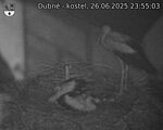 Capi_Dubne_20250626_235503.jpg
