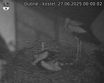 Capi_Dubne_20250627_000002.jpg