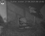 Capi_Dubne_20250627_001502.jpg