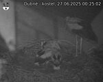 Capi_Dubne_20250627_002502.jpg