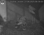 Capi_Dubne_20250627_003003.jpg