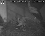 Capi_Dubne_20250627_003503.jpg