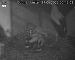 Capi_Dubne_20250627_004503.jpg
