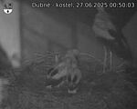 Capi_Dubne_20250627_005003.jpg