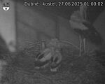 Capi_Dubne_20250627_010002.jpg