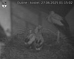 Capi_Dubne_20250627_011502.jpg