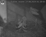 Capi_Dubne_20250627_012003.jpg