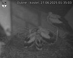 Capi_Dubne_20250627_013503.jpg