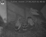 Capi_Dubne_20250627_014002.jpg