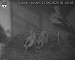 Capi_Dubne_20250627_014503.jpg