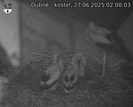 Capi_Dubne_20250627_020003.jpg