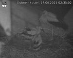 Capi_Dubne_20250627_023502.jpg