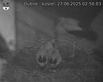 Capi_Dubne_20250627_025003.jpg