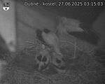 Capi_Dubne_20250627_031503.jpg