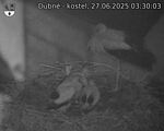 Capi_Dubne_20250627_033003.jpg