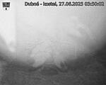 Capi_Dubne_20250627_035002.jpg