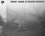 Capi_Dubne_20250627_035502.jpg