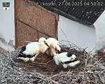 Capi_Dubne_20250627_045002.jpg