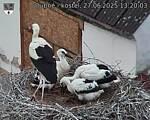 Capi_Dubne_20250627_132003.jpg