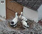 Capi_Dubne_20250627_132503.jpg
