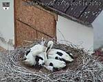 Capi_Dubne_20250627_142002.jpg