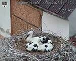 Capi_Dubne_20250627_143503.jpg