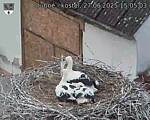 Capi_Dubne_20250627_150503.jpg