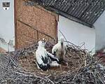 Capi_Dubne_20250627_161003.jpg