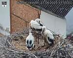 Capi_Dubne_20250627_175503.jpg