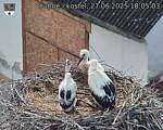 Capi_Dubne_20250627_180503.jpg