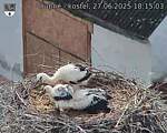Capi_Dubne_20250627_181503.jpg