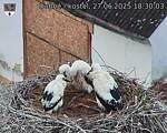 Capi_Dubne_20250627_183003.jpg