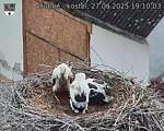Capi_Dubne_20250627_191003.jpg