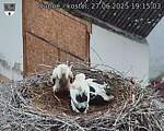 Capi_Dubne_20250627_191503.jpg