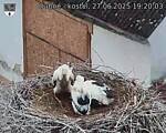 Capi_Dubne_20250627_192003.jpg