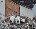 Capi_Dubne_20250627_193503.jpg