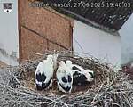 Capi_Dubne_20250627_194003.jpg