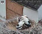 Capi_Dubne_20250627_203003.jpg