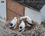 Capi_Dubne_20250627_204003.jpg