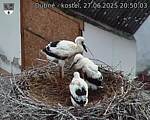 Capi_Dubne_20250627_205003.jpg