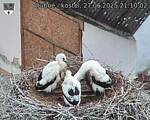 Capi_Dubne_20250627_211002.jpg
