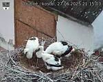 Capi_Dubne_20250627_211503.jpg