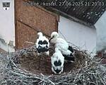 Capi_Dubne_20250627_212003.jpg