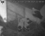 Capi_Dubne_20250627_220003.jpg