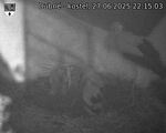 Capi_Dubne_20250627_221503.jpg