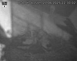 Capi_Dubne_20250627_223003.jpg
