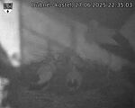 Capi_Dubne_20250627_223503.jpg