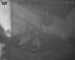 Capi_Dubne_20250627_230502.jpg