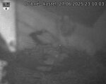 Capi_Dubne_20250627_231003.jpg