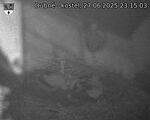 Capi_Dubne_20250627_231503.jpg